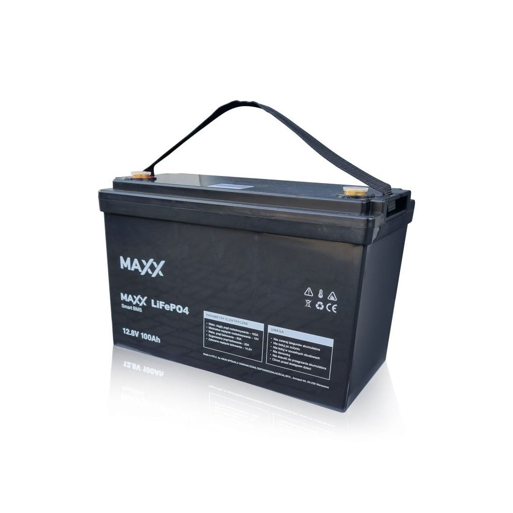 Akumulator LIFEPO4 12V 100AH BMS